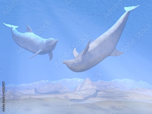 Obraz na płótnie canvas czteroczęściowy "tetraptyk" Delfiny gry podwodne - 3d render