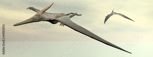 Fotoboard na płycie Pteranodon dinozaury latające - 3d render