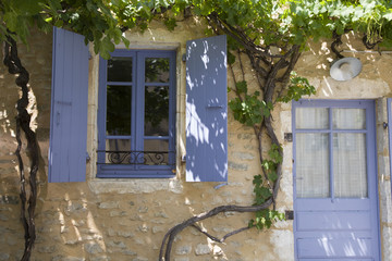 Purple window and door with grape growing on old wall