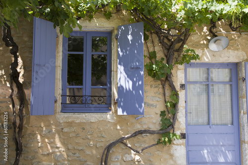 Dekoracja na wymiar  purpurowy-okno-i-drzwi-z-gronowym-dorosnieciem-na-starej-scianie
