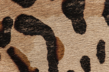 Macro of fur carpet