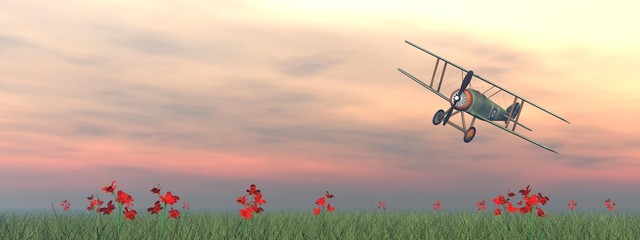Wall Mural - Biplane on the grass - 3D render