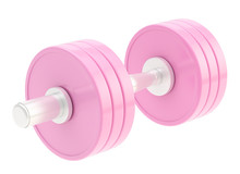 Adjustable Metal Pink Dumbbell Isolated