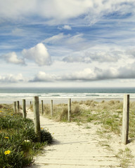 Wall Mural - Walkway path through sand dune. Beach view sky