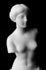 The Venus de Milo is a marble statue of the Hellenistic era.