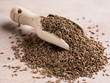 Kummel seeds (carum carvi) - cumino tedesco