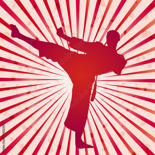 Board z aluminiowym obramowaniem Wektor okładka karate