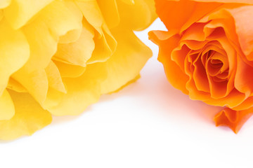 Wall Mural - flowers