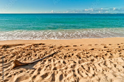 Board z aluminiowym obramowaniem Zaciszna plaża haena na wyspie kauai na Hawajach
