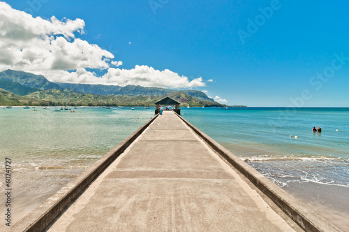 Fotoboard na płycie Hanalei bay, wyspa Kauai - Hawaje