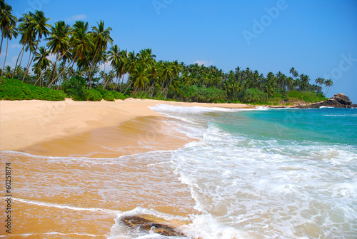 Tapeta ścienna Plaża z palmami kokosowymi