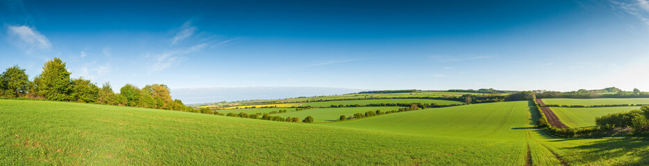 idyllic rural landscape, cotswolds uk