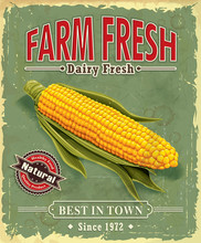 Vintage Farm Fresh Corncob Poster Design
