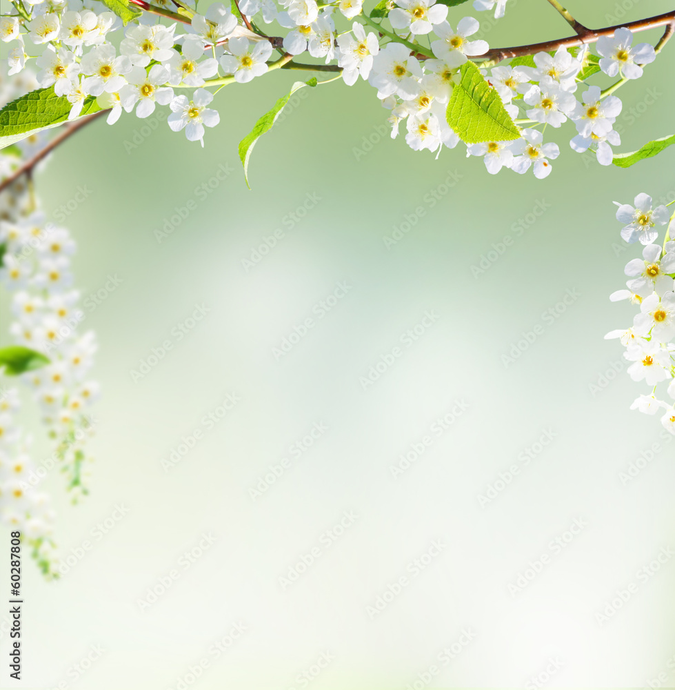 Spring Business Background spring background Stock Photo | Adobe Stock