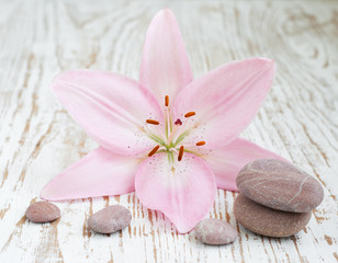 Wall Mural - lilly and massage stones