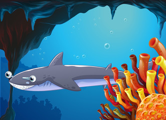 Poster - A big fish near the coral reefs