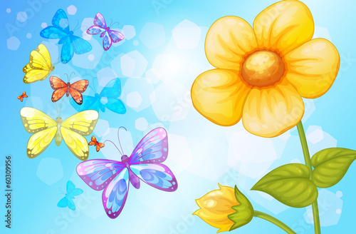 Board z aluminiowym obramowaniem Duży kwiatek z motylami