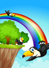 Sticker - A rainbow near the cliff with flying birds