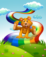 Wall Mural - A playful brown bear jumping near the rainbow