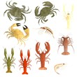 realistic 3d render of crustacean set