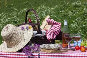 Wall Mural - picnic in french alpine mountains