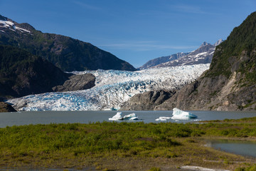 Wall Mural - Mendenhall Glacier, Alaska