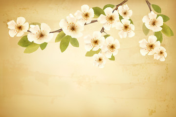 Aufkleber - Vintage background with blossoming tree brunch and white flowers