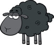 Cute Black Sheep Cartoon Mascot Character