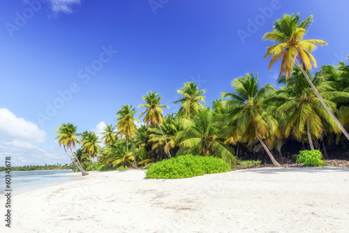 Board z aluminiowym obramowaniem Karaibska dzika plaża, punta cana