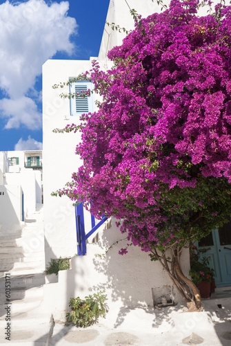 Plakat na papierze fotorealistycznym Tradycyjny grecki aleja na wyspie mykonos, Grecja