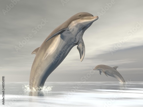 Obraz na płótnie canvas Wolność delfinów - 3d render