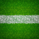 Fototapeta  - soccer grass background