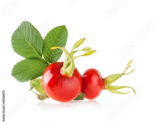 Fototapeta do kuchni Rose hips isolated on white background