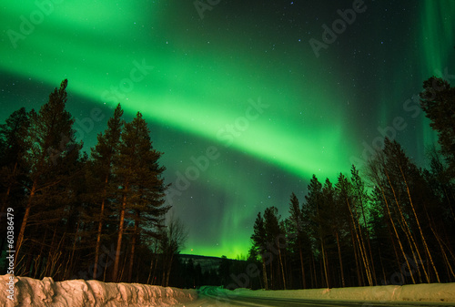 Tapeta ścienna Aurora na drodze