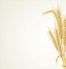 Wheat retro background