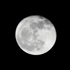 (beinaher) vollmond [1 tag danach] / (almost) full moon [+1d]