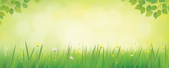 Wall Mural - vector nature background.