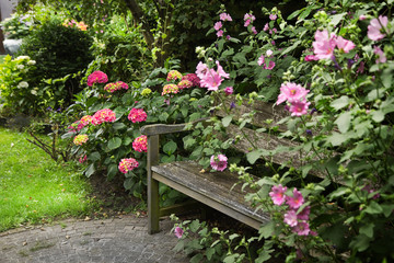 Wall Mural - Country-style garden with bench and flowers