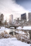 Fototapeta  - Central Park,New York