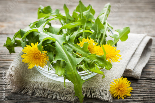 Fotografering  Dandelions greens and flowers