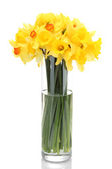 Canvas Print - beautiful yellow daffodils in transparent vase isolated on