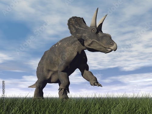 Fotoboard na płycie Dinozaur diceratops - 3d render