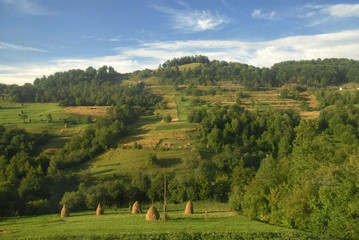 Wall Mural - Summer mountains landscape in Carpathians, Ukraine