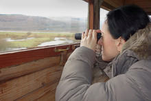 Birdwatching, A Woman With Binoculars In Bird Hide