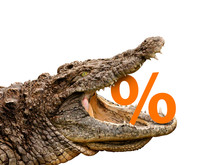 Percentage Signs Eaten By Crocodile For Sale, Crash Or Discount.