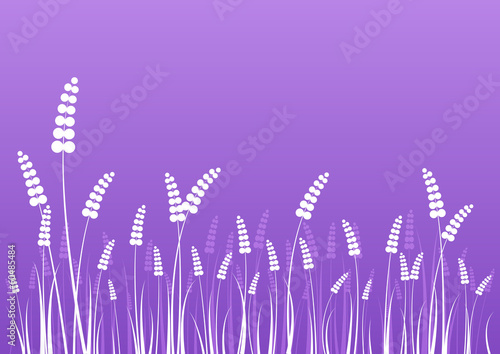 flowers-silhouettes-on-purple