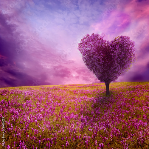 Obraz w ramie Tree of love
