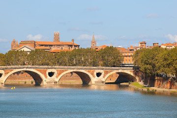 Wall Mural - Cityscape of Toulouse