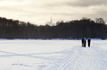 Wall Mural - walking people on snowy field