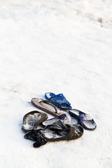 Sticker - frozen slippers near snow edge of ice hole